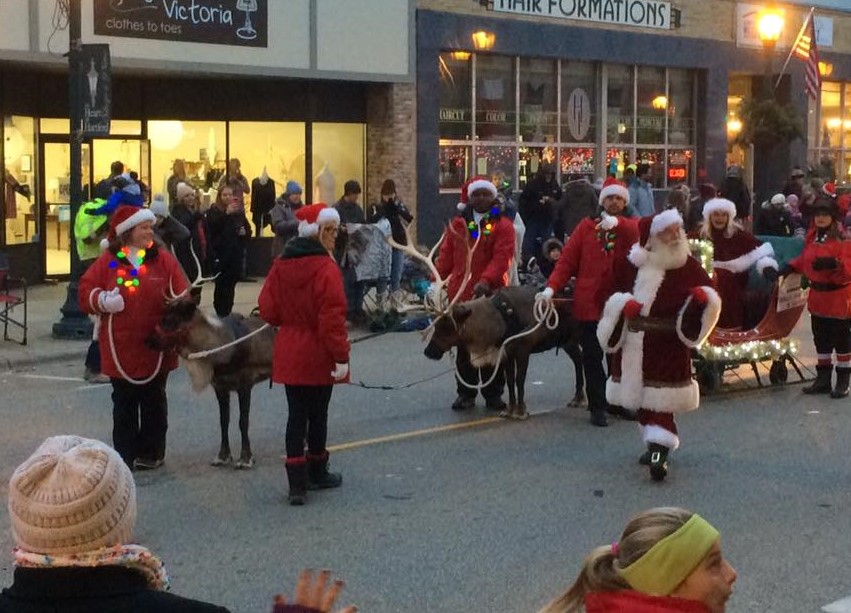 Santa Claus and his reindeer spread holiday cheer at a festive parade.