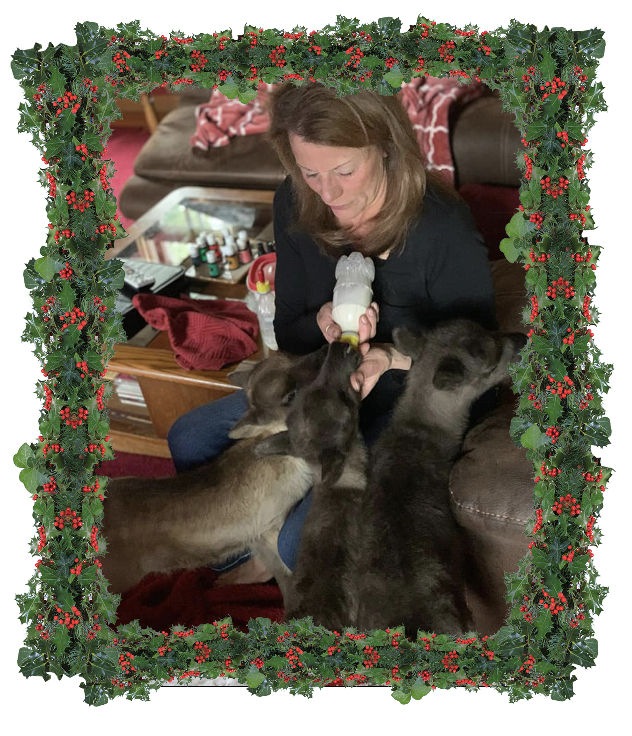 Woman Feeding Reindeer Calf